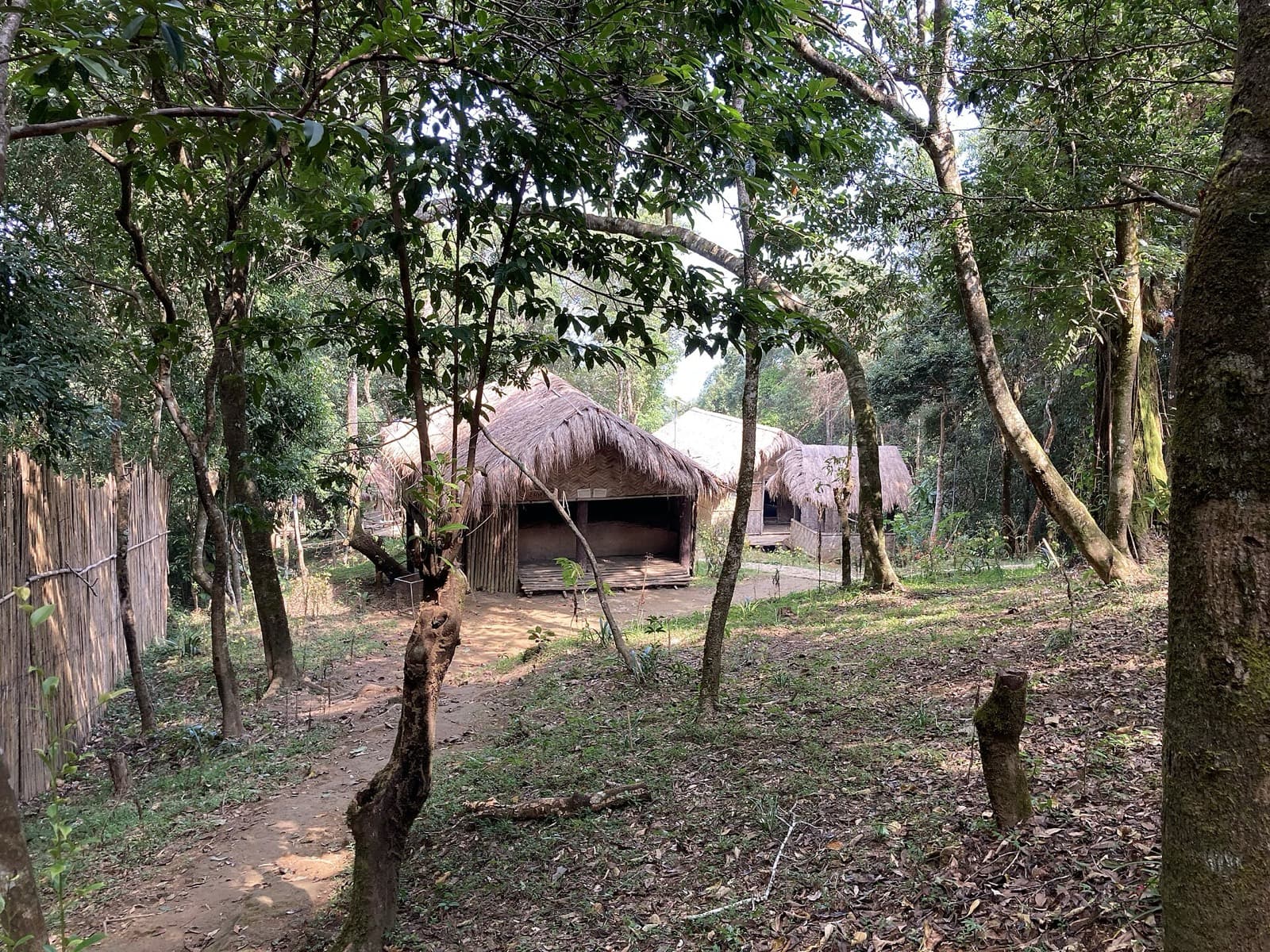 Thatched Mizo houses under forest canopy at Reiek